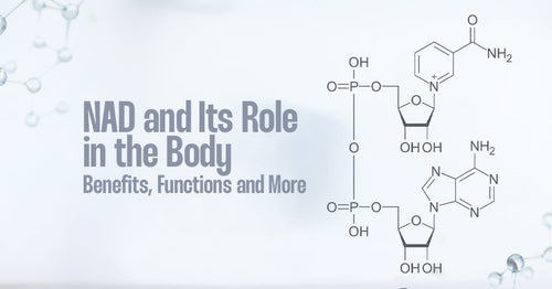 What Is NAD? Benefits, Functions & How It Supports Your Health