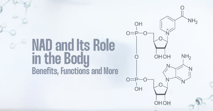 NAD and Its Role in the Body - Benefits, Functions and More